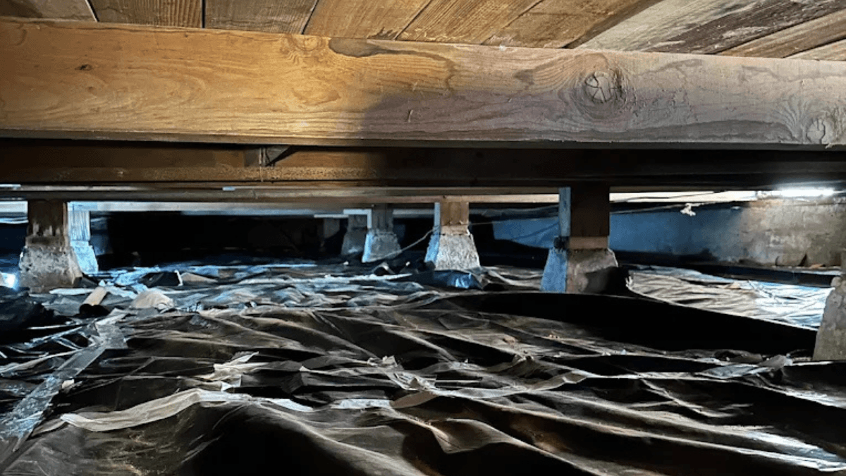 Dry rot repair to crawlspace subfloor framing and supporting wood at a Sacramento home.