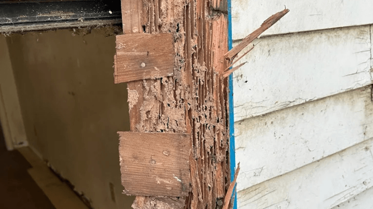 Dry rot damage around a window and door frame being repaired at a Sacramento home.