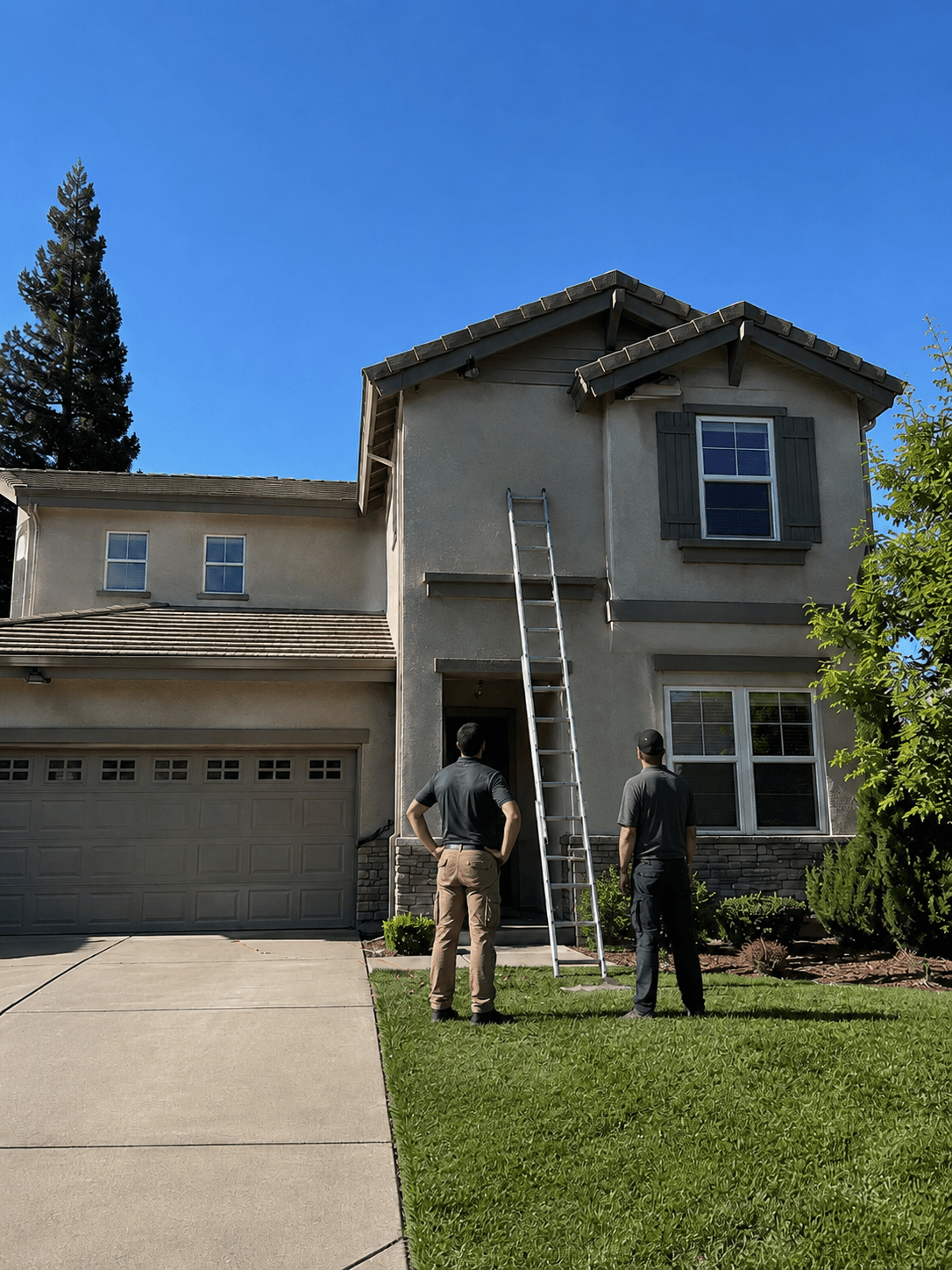 Termite inspectors Sacramento