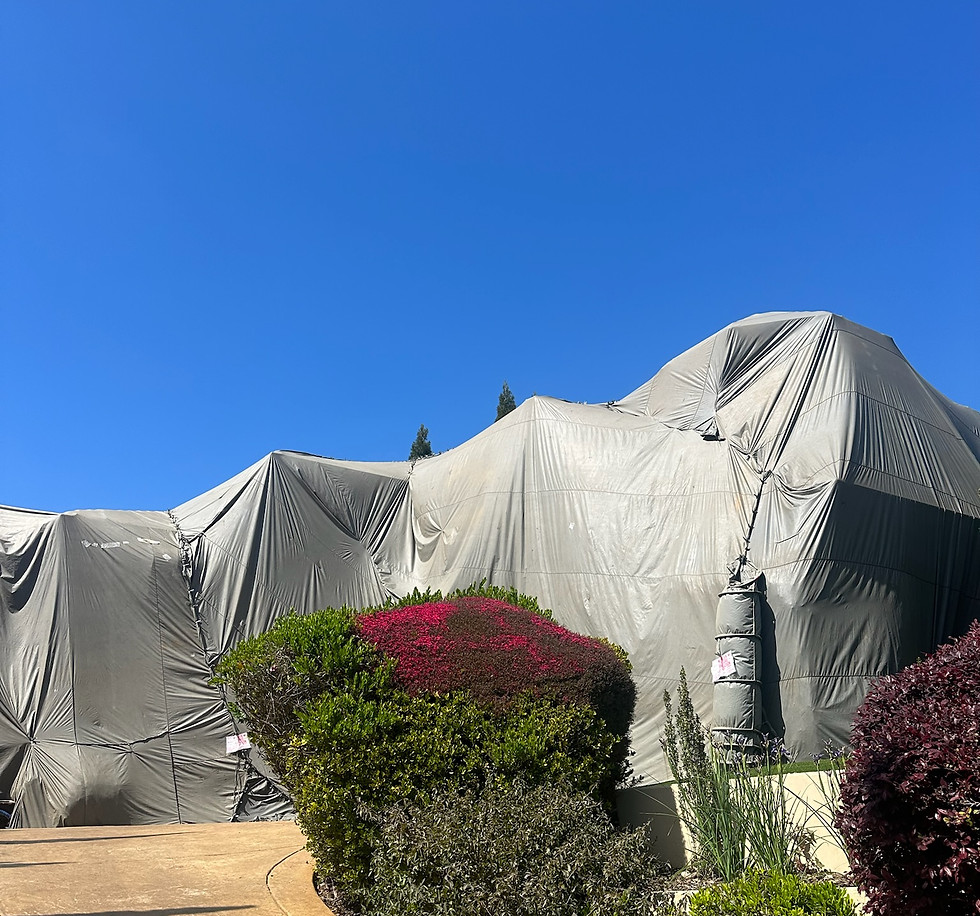 Whole-structure termite fumigation tent covering a Sacramento home.