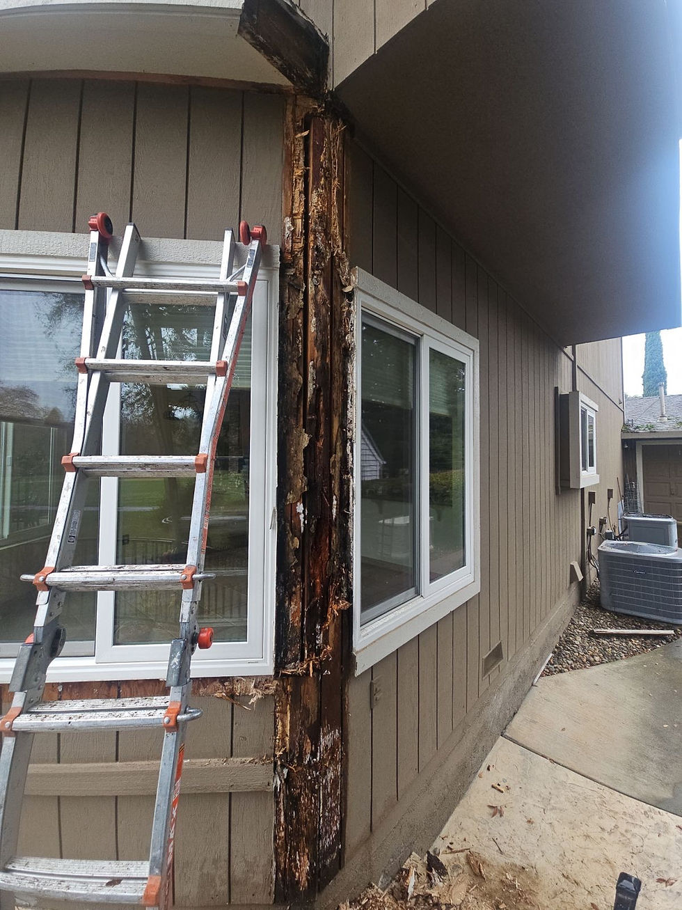 Dry Rot Repair In Sacramento